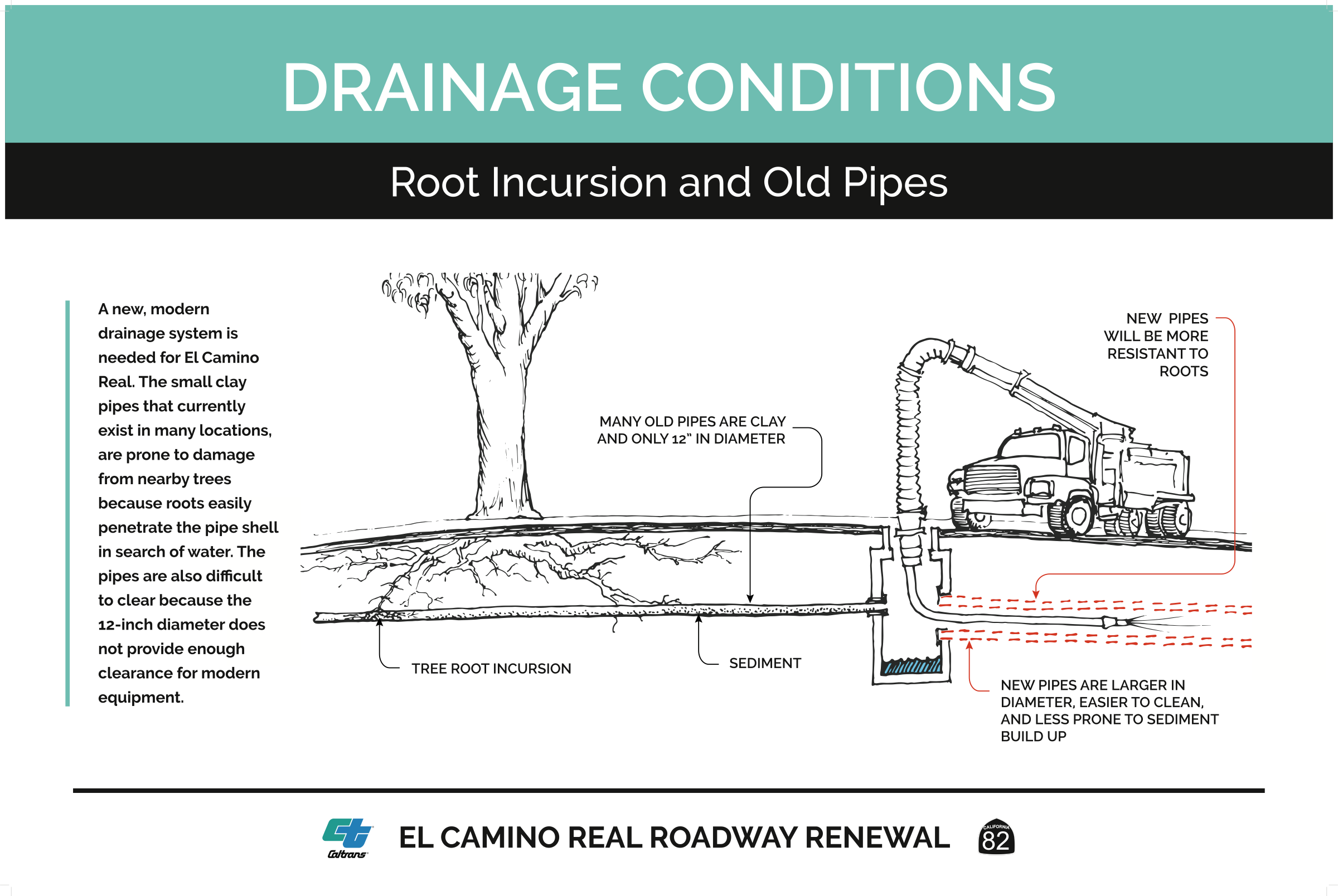 drainage conditions - root incursion and old pipes