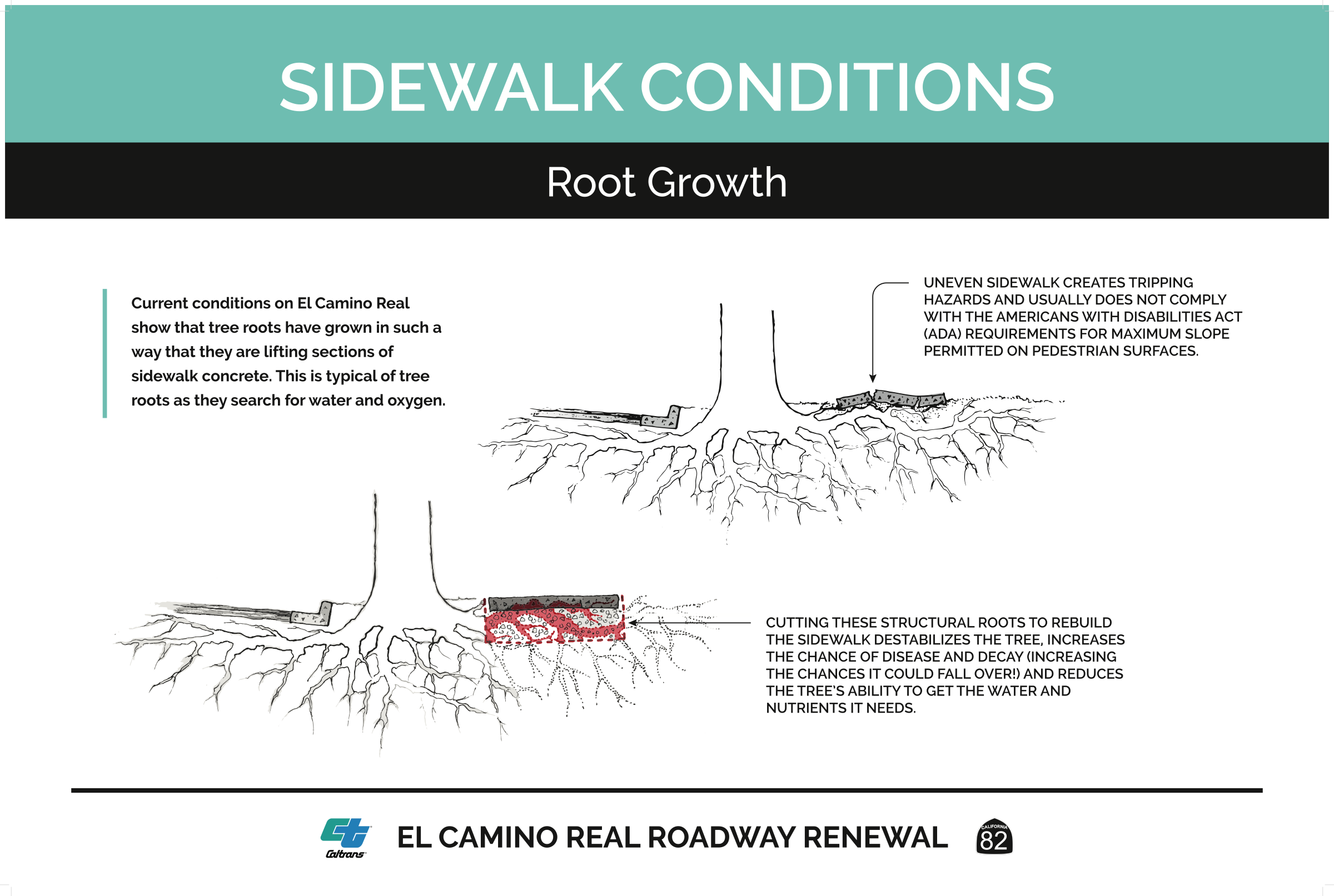 sidewalk conditions - root growth