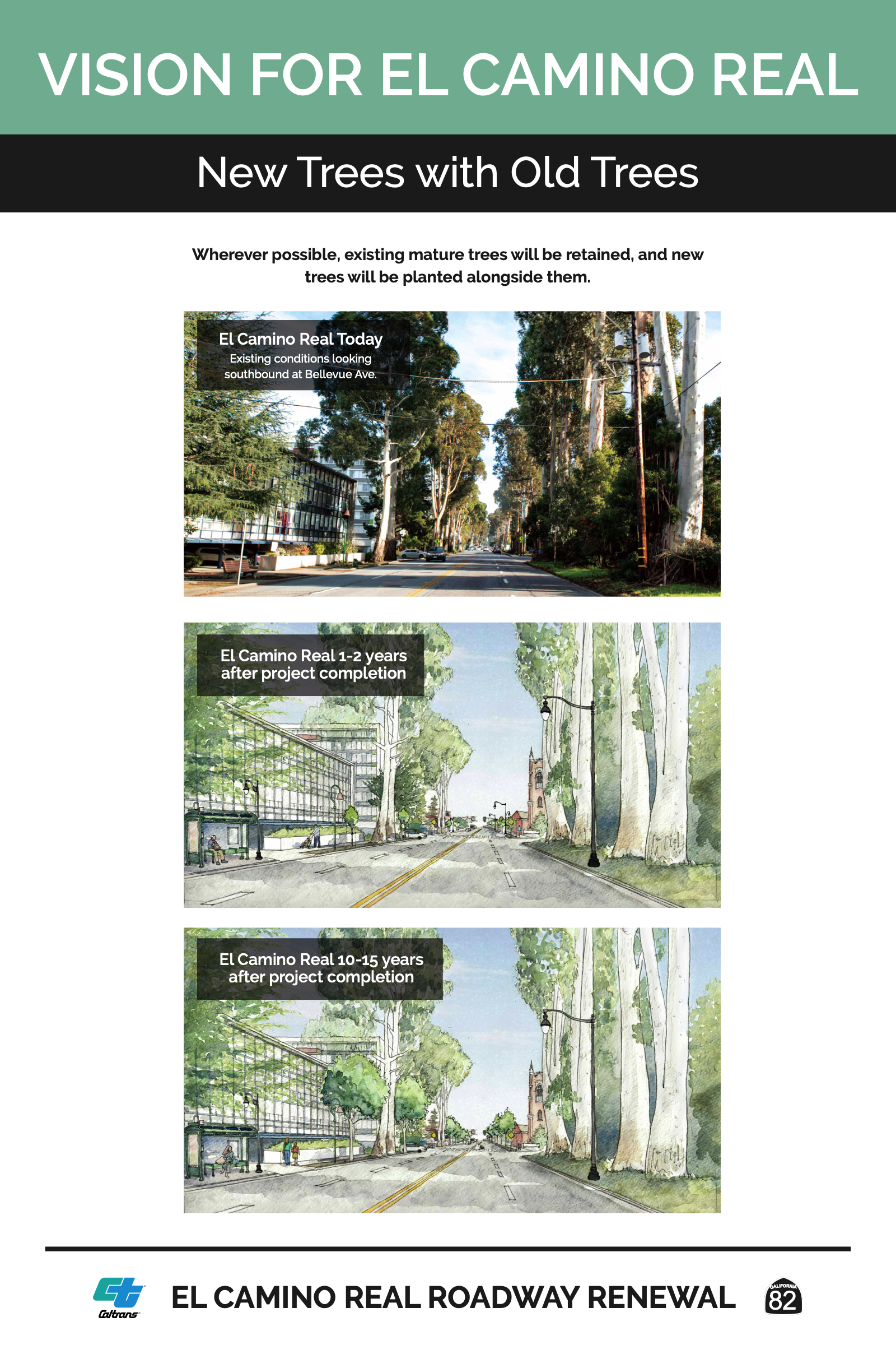 vision for el camino real - new trees with old trees
